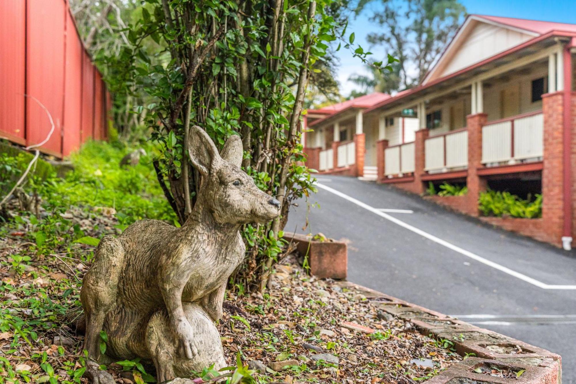 Lismore Wilson Motel Luaran gambar